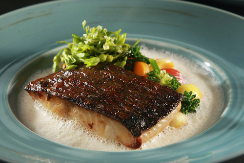 Ca tuyet tuong miso
